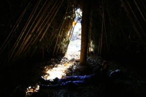 Inside the Hut